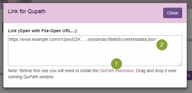 QuPath link dialog